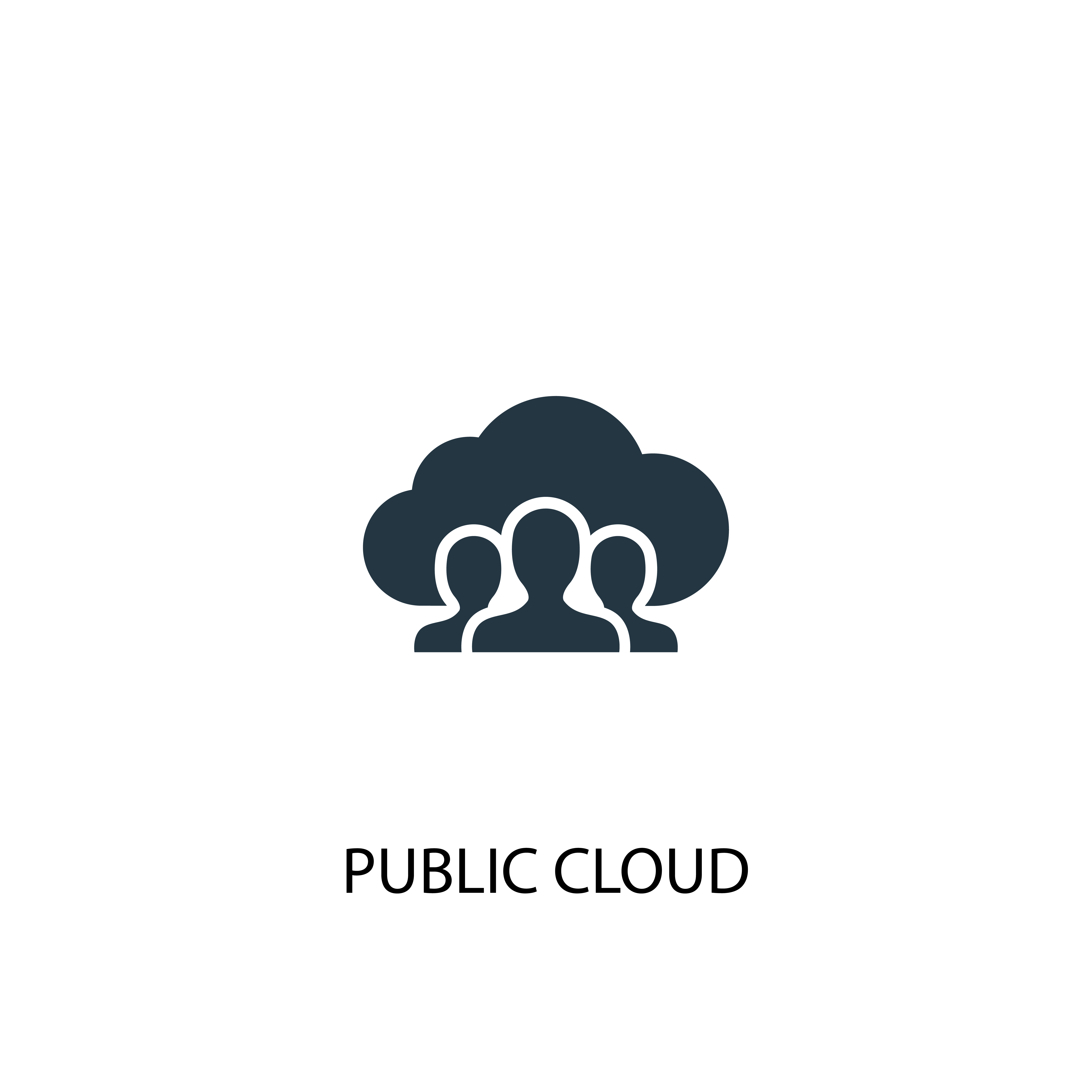 public cloud icon